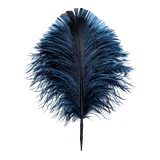 catThumbnail