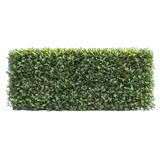 catThumbnail
