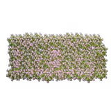 catThumbnail