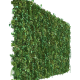 catThumbnail