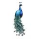 catThumbnail
