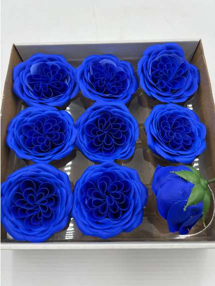 Trandafiri de sapun Austin blue cutie 9 capete