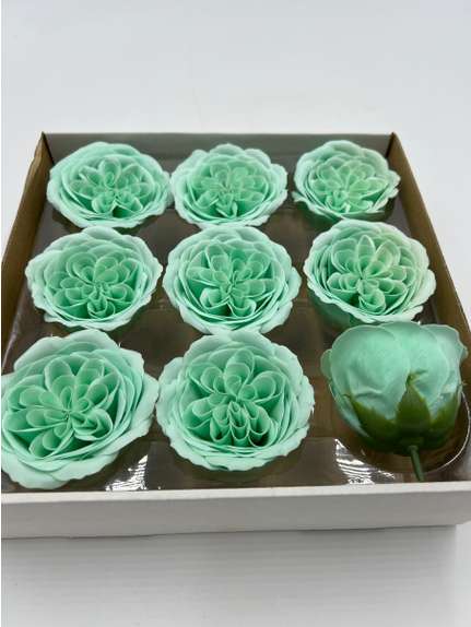 Trandafiri de sapun Austin light blue green cutie 9 capete