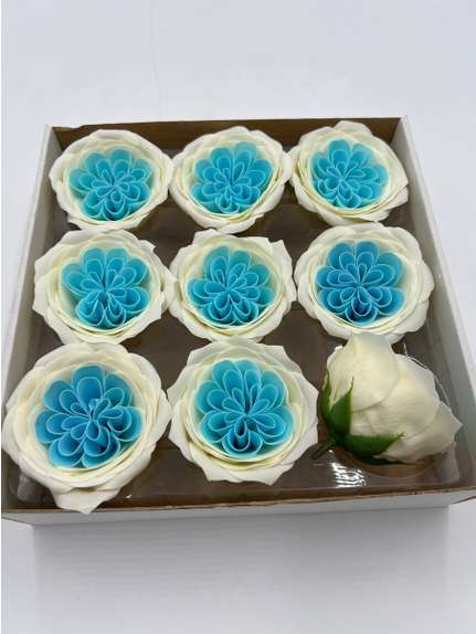 Trandafiri de sapun Austin baby blue white cutie 9 capete