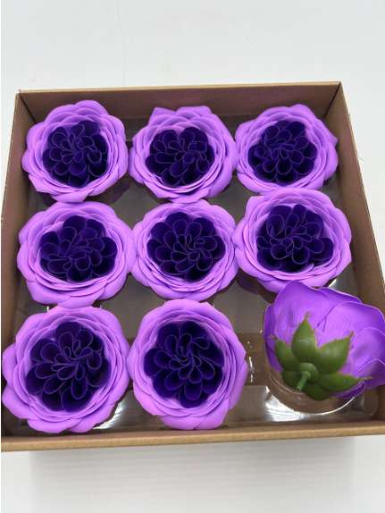 Trandafiri de sapun Austin purple mix cutie 9 capete