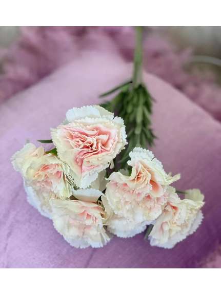 Garofite 2062 Pink  buchet 7 fire