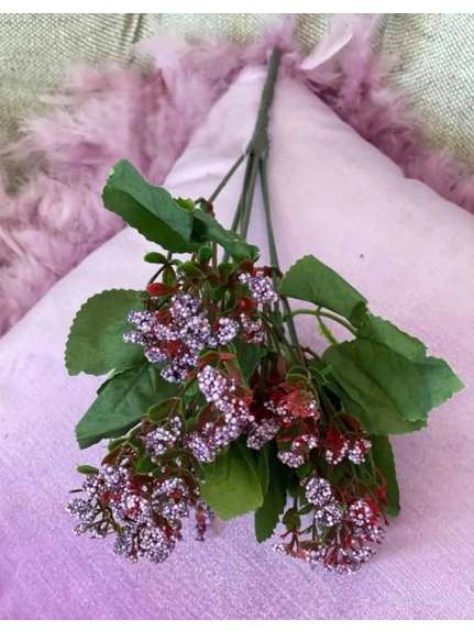 BUCHET VERDEATA FR 071 MOV