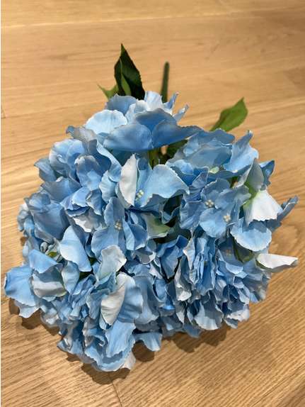Hortensie H6 Albastru deschis buchet 5 fire