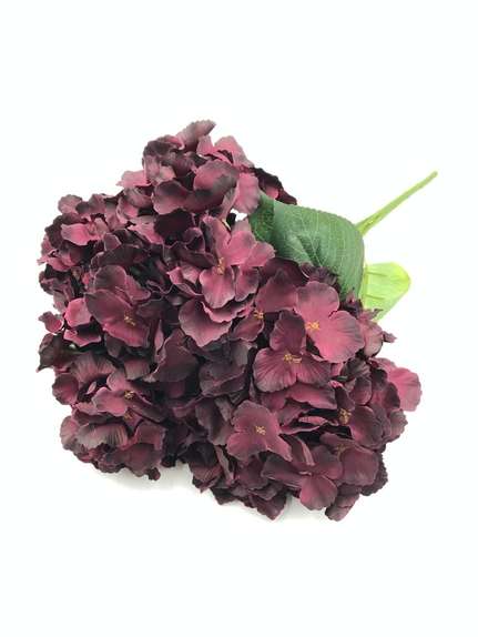 Hortensie buchet 6 fire H8 Grena