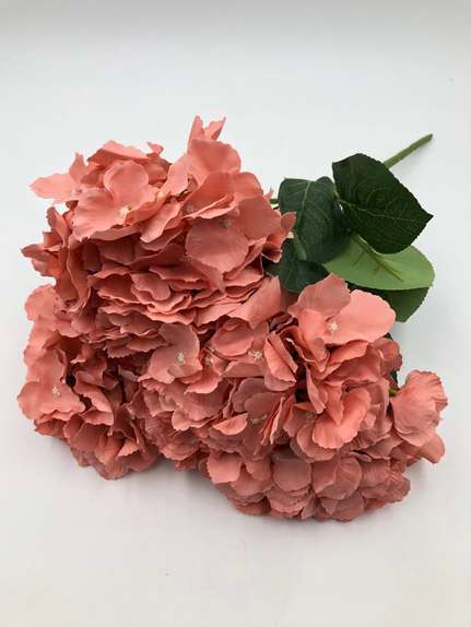 Hortensie buchet 6 fire H8 Medium Pink