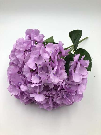 Hortensie buchet 6 fire H8 Mov 