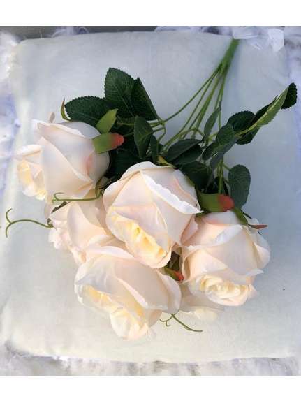 Trandafiri FL072 Crem buchet 7 fire