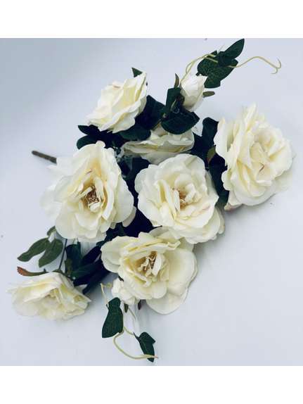 Trandafiri 728 Alb buchet 9 fire