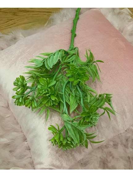 BUCHET VERDEATA FR 015