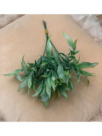 BUCHET VERDEATA FR 041 GREEN