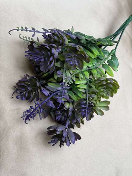 BUCHET VERDEATA FR099 MOV