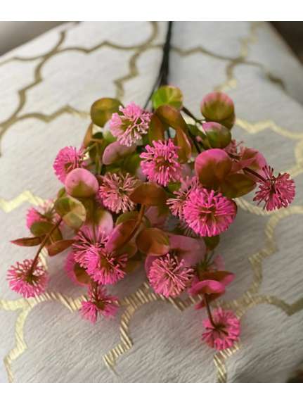 BUCHET VERDEATA FR100 CICLAM