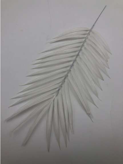 CRENGUTA FRUNZA PALMIER 2701 ALB