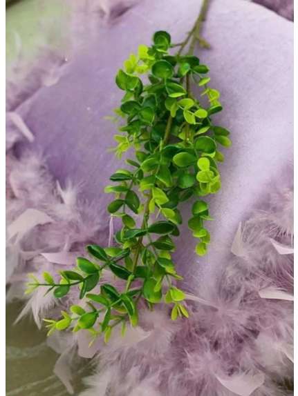 CRENGUTA EUCALIPT FR052 VERDE