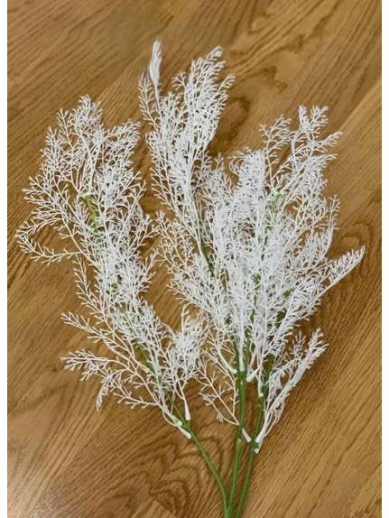 CRENGUTA FIRICELE FR001 ALB