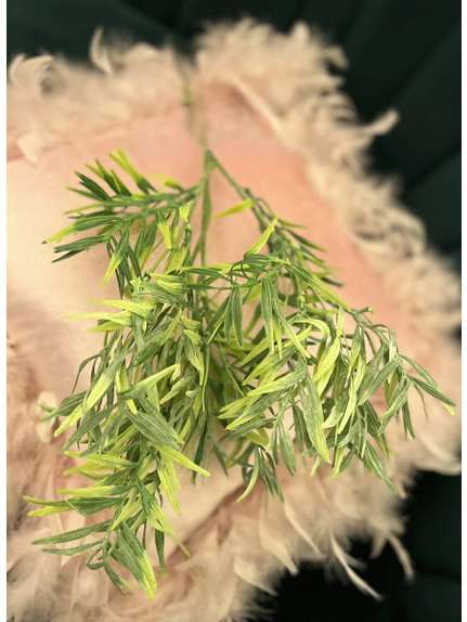 CRENGUTA VERDEATA FR089