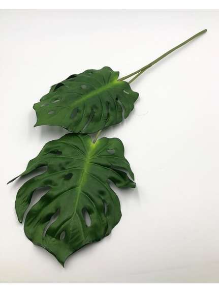 CRENGUTA FRUNZE MONSTERA BJ1022