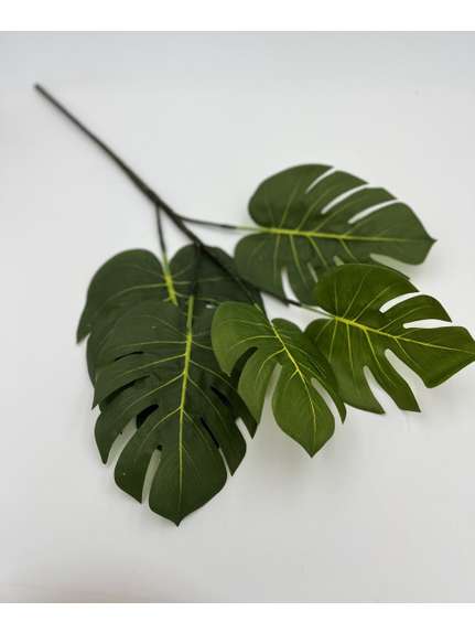 CRENGUTA FRUNZE MONSTERA BJ1023