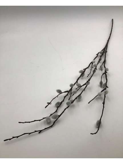 CRENGUTA MUGURI DE SALCIE 2702