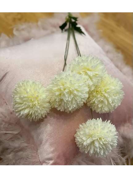 Crizanteme F7017 Alb