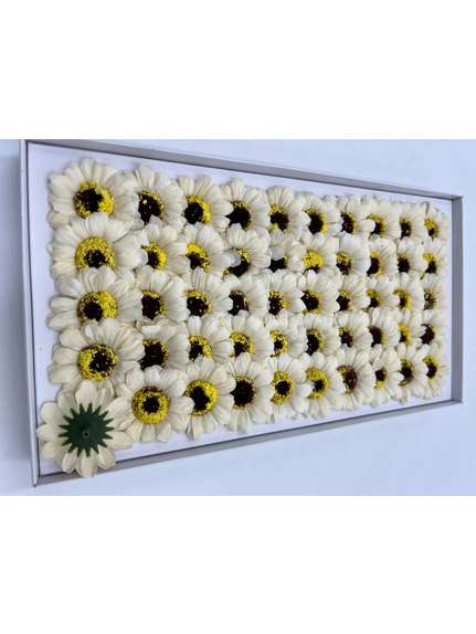 Margarete din sapun parfumat Daisy mic Sampanie cutie 50 de flori