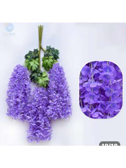 Fire ghirlanda visteria glicina mare Mov 12 fire