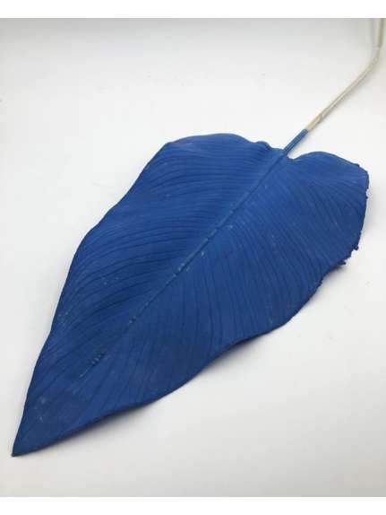 FIR PALMIER SILICON DD37 ALBASTRU