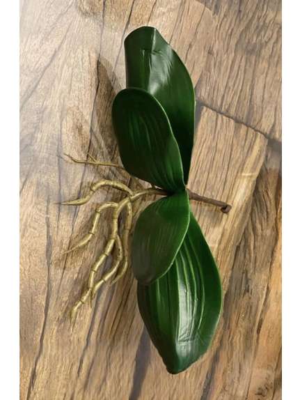 FRUNZE ORHIDEE SILICON MICI