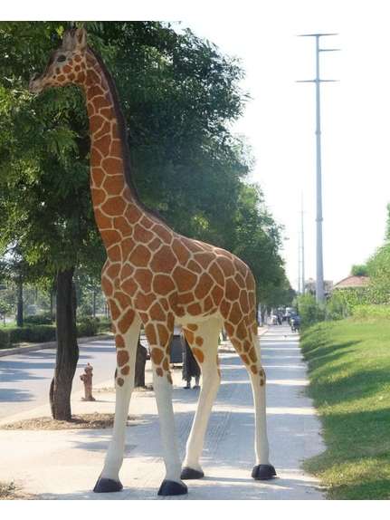 Girafa Figurina 420 cm
