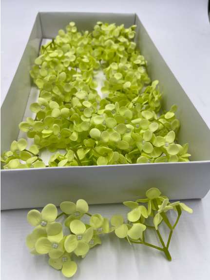 Hortensie sapun parfumat Green cutie 40 capete