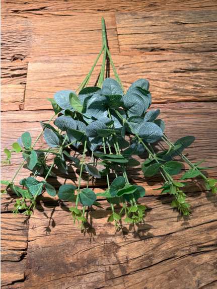 EUCALIPT VERDE