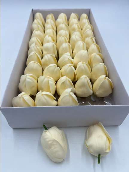 Lalele de sapun sampanie mare cutie 50 de capete