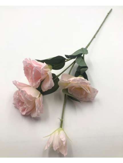 Lisianthus Roz