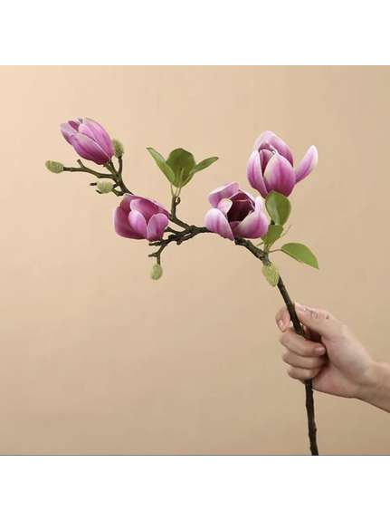 Magnolie silicon 303 Mov degrade