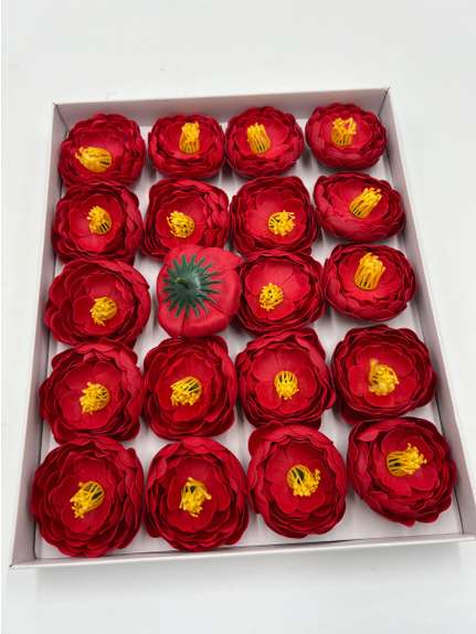 Bujori de sapun parfumat peony Red cutie 20 flori