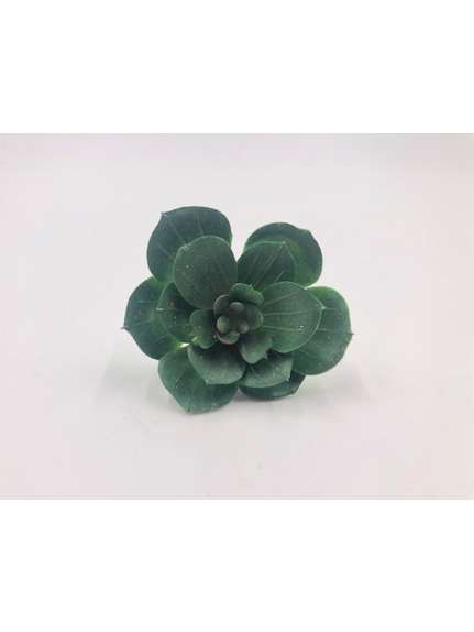 SUCULENT 5CM 4016