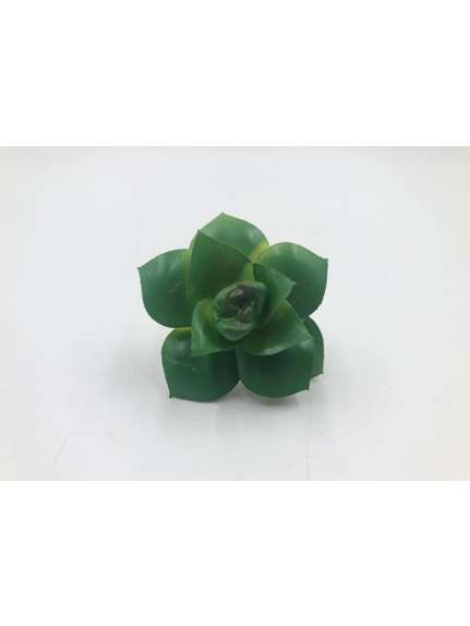 SUCULENT SILICON 6CM 4017
