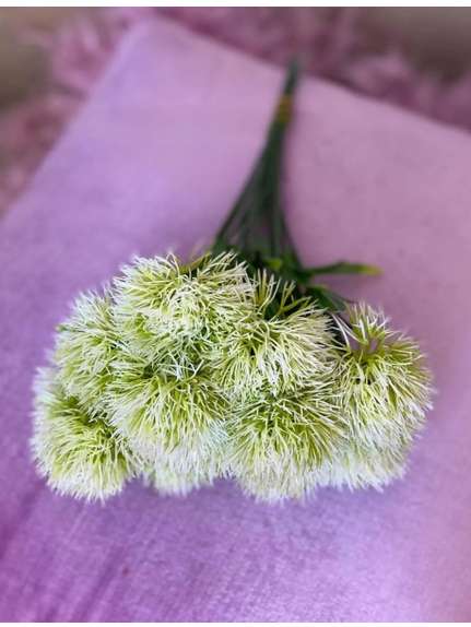 VERDEATA CIULIN FL042 ALB