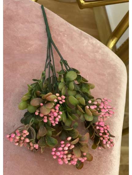 VERDEATA CU BOBITE 4021 CICLAM