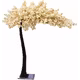 Copac cires cherry blossom Crem H 3 m (latime ramura 2.80 m)