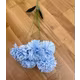 Crizanteme F7017 Blue