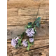 Crenguta 4 crizanteme 2038 Purple