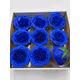 Trandafiri de sapun Austin blue cutie 9 capete