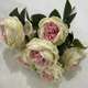 Trandafiri austin F20 Roz buchet 9 fire