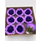 Trandafiri de sapun Austin purple mix cutie 9 capete